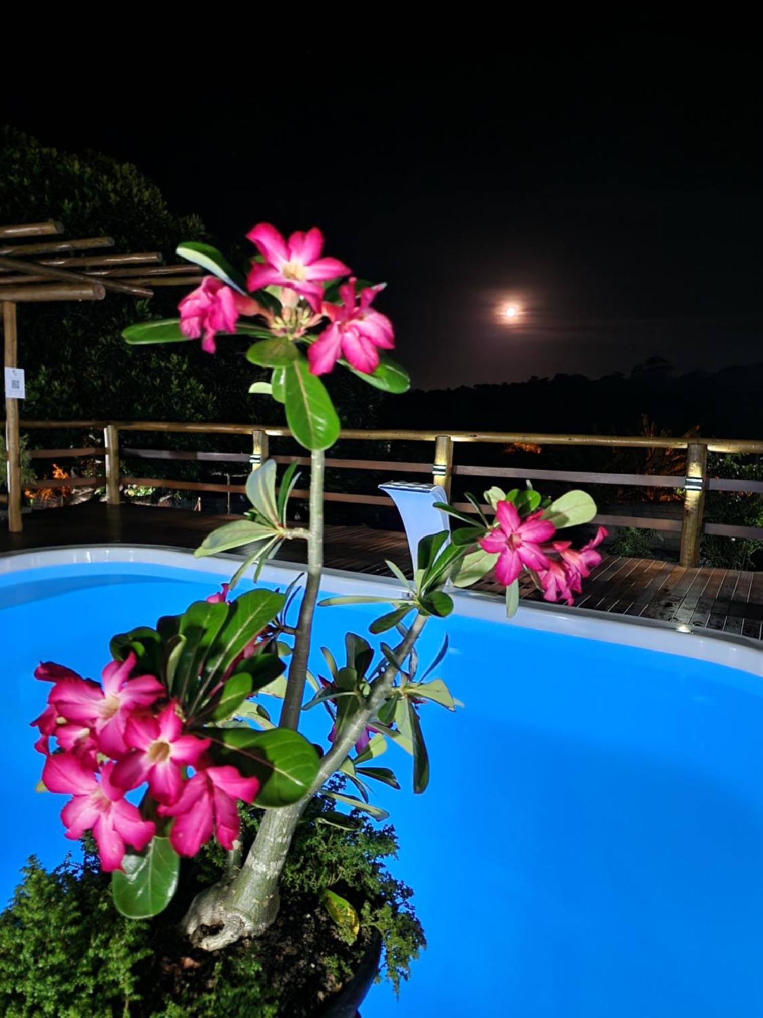 Pousada Canto Do Sabia Piúma Buitenkant foto